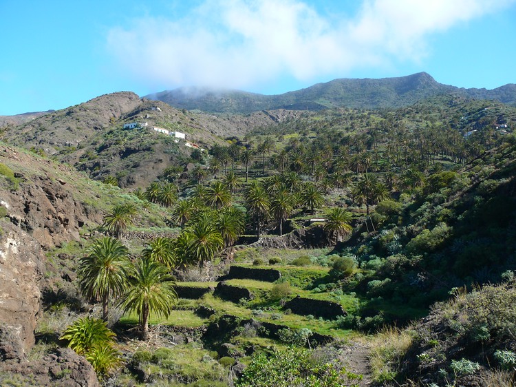 2009-01_lagomera-223.JPG