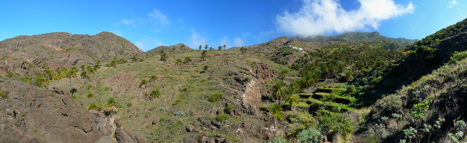 2009-01_lagomera-224.JPG