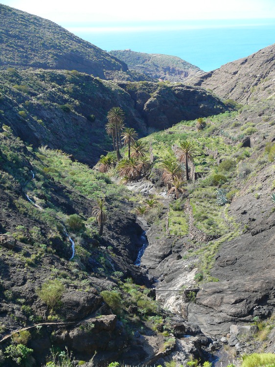 2009-01_lagomera-225.JPG