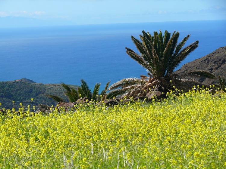 2009-01_lagomera-227.JPG