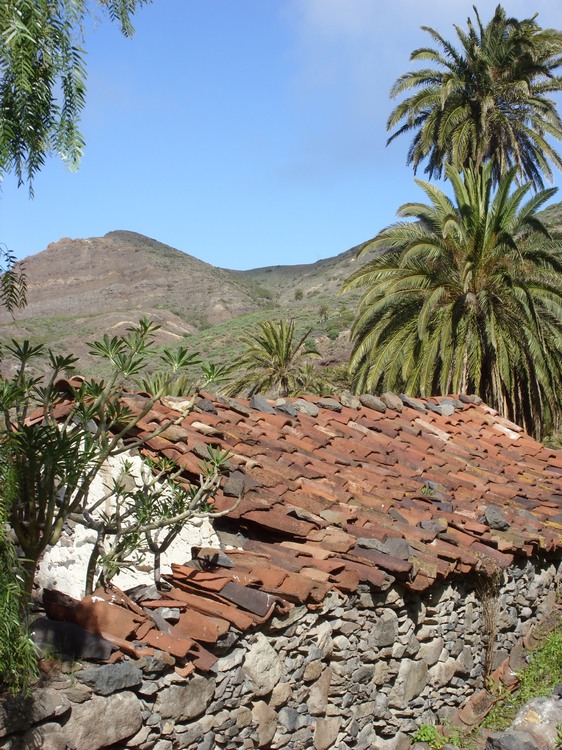 2009-01_lagomera-228.JPG