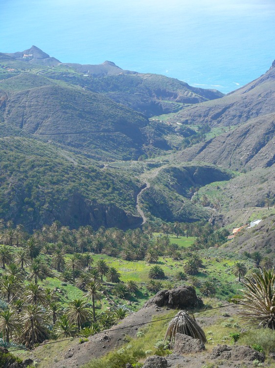 2009-01_lagomera-230.JPG