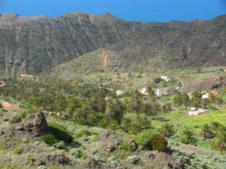 2009-01_lagomera-231.JPG