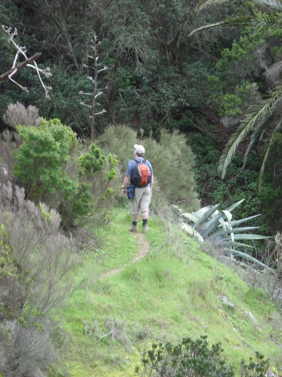 2009-01_lagomera-232.JPG