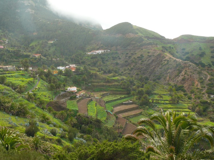 2009-01_lagomera-236.JPG