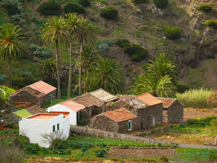 2009-01_lagomera-240.JPG