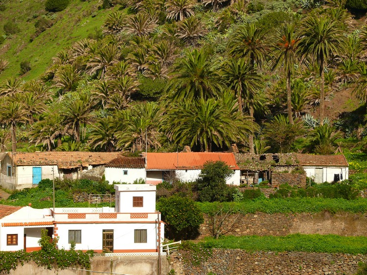 2009-01_lagomera-242.JPG