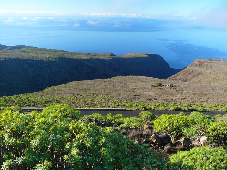 2009-01_lagomera-245.JPG