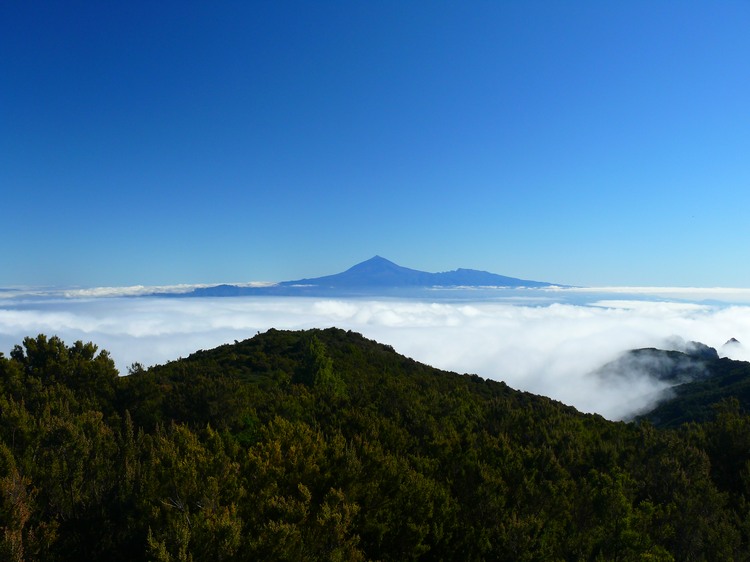 2009-01_lagomera-253.JPG