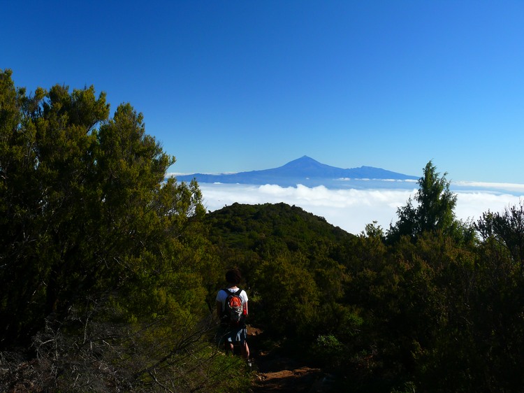 2009-01_lagomera-254.JPG