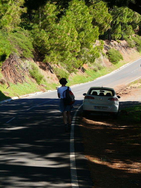 2009-01_lagomera-256.JPG