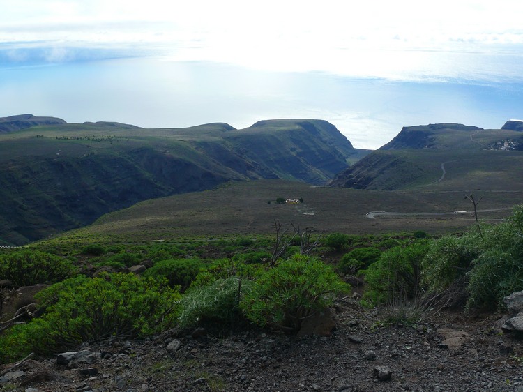 2009-01_lagomera-269.JPG