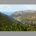 2009-01_lagomera-081.JPG