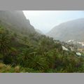 2009-01_lagomera-085.JPG