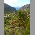 2009-01_lagomera-087.JPG