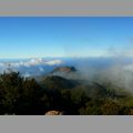 2009-01_lagomera-096.JPG