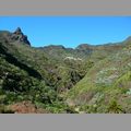 2009-01_lagomera-129.JPG