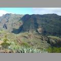 2009-01_lagomera-136.JPG