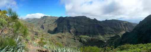 2009-01_lagomera-137.JPG