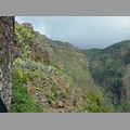 2009-01_lagomera-165.JPG