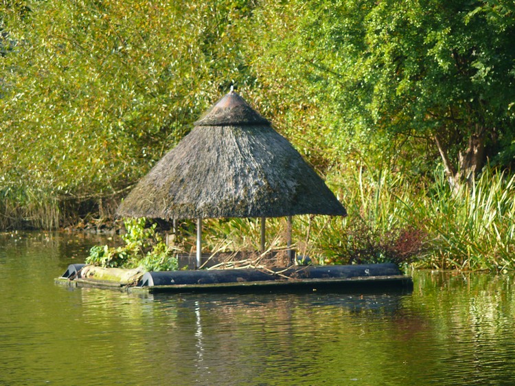 2009_ostsee_058.JPG