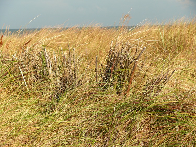 2009_ostsee_089.JPG