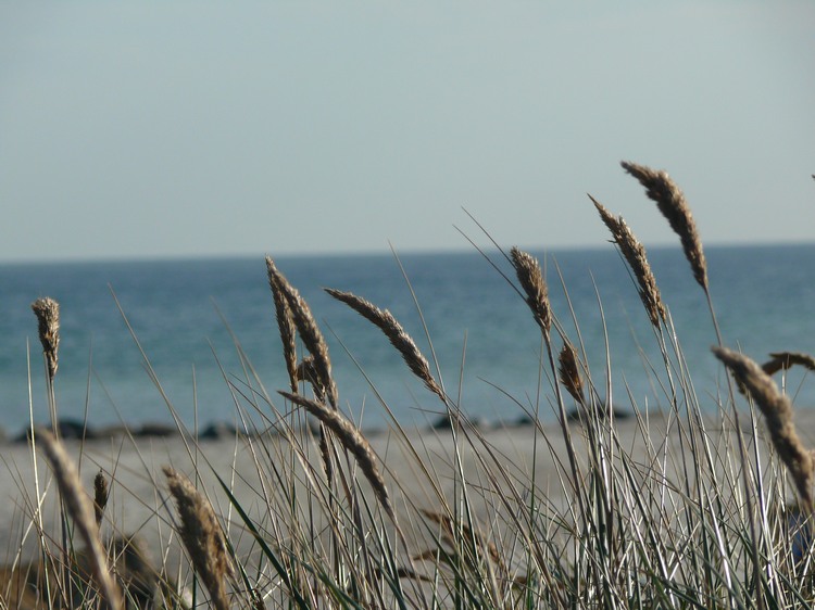 2009_ostsee_092.JPG