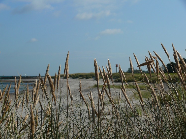 2009_ostsee_094.JPG