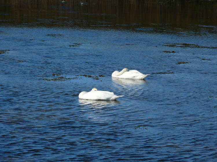 2009_ostsee_099.JPG