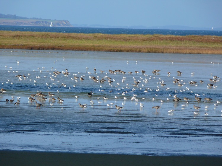 2009_ostsee_101.JPG