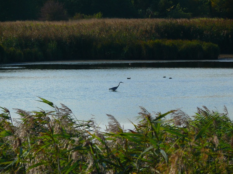 2009_ostsee_110.JPG