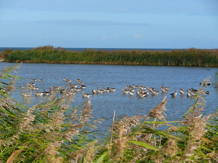 2009_ostsee_115.JPG