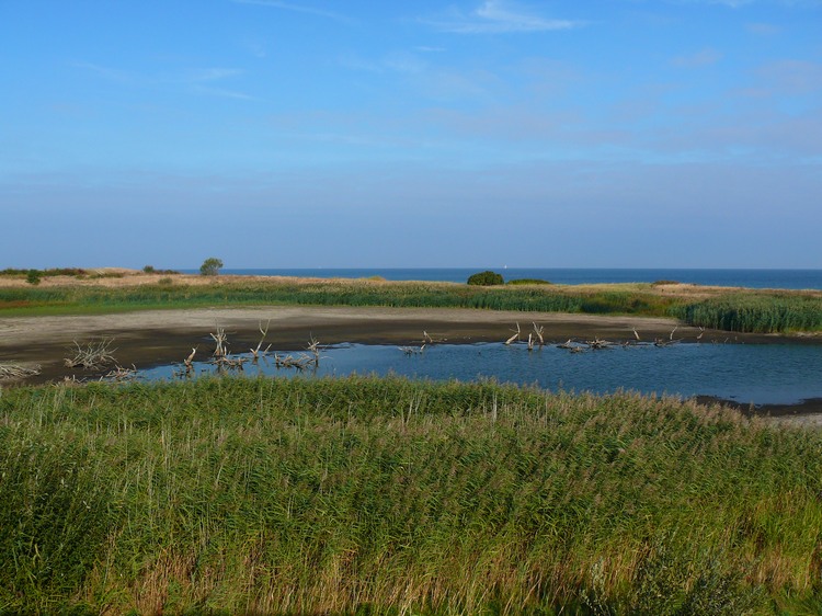 2009_ostsee_145.JPG