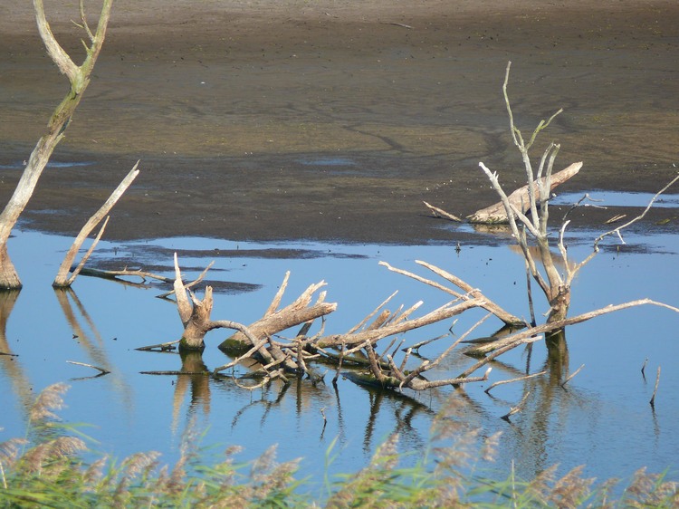 2009_ostsee_146.JPG