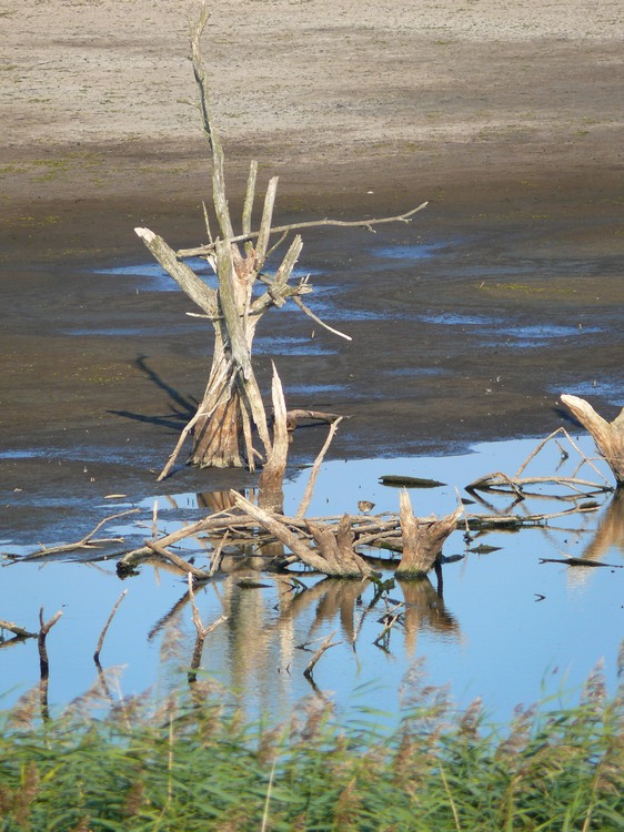 2009_ostsee_149.JPG