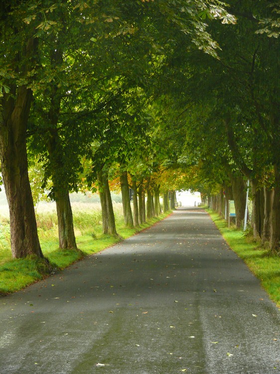 2009_ostsee_193.JPG