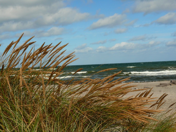 2009_ostsee_232.JPG