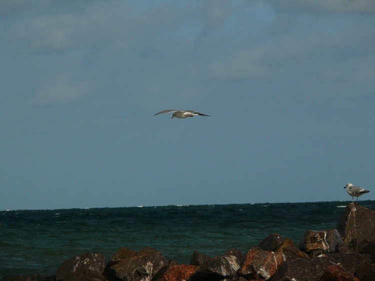 2009_ostsee_235.JPG