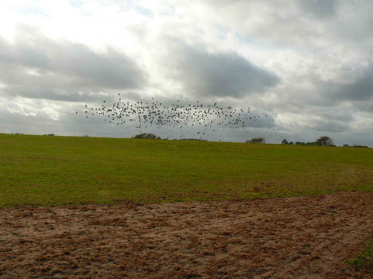 2009_ostsee_237.JPG