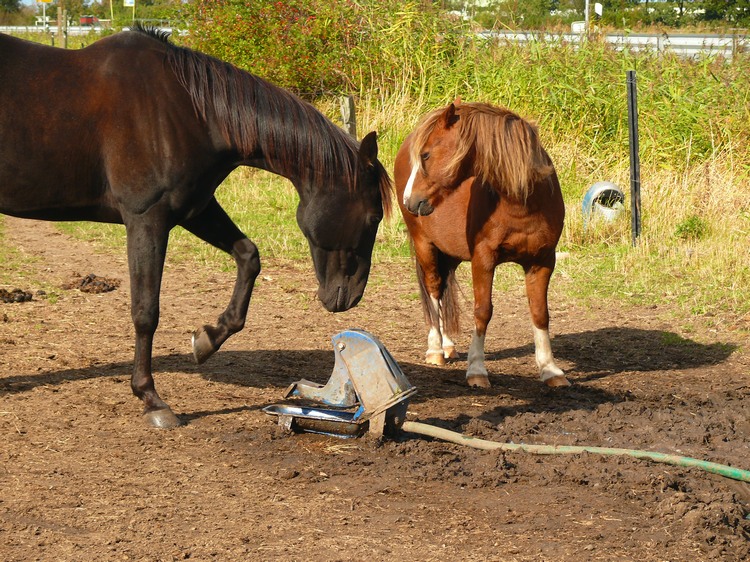 2009_ostsee_241.JPG