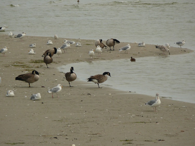 2009_ostsee_251.JPG