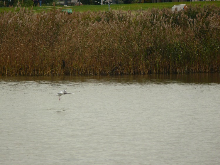 2009_ostsee_252.JPG