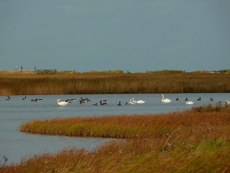 2009_ostsee_254.JPG