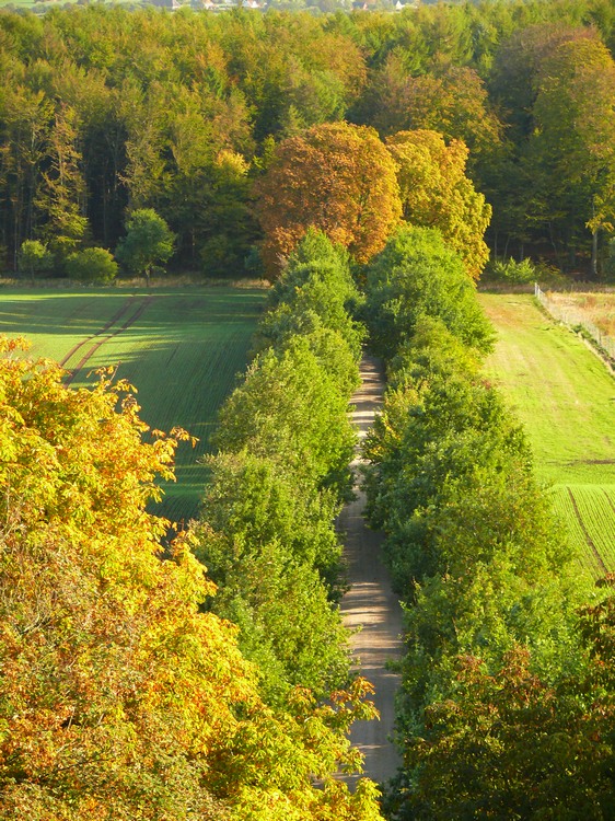 2009_ostsee_274.JPG