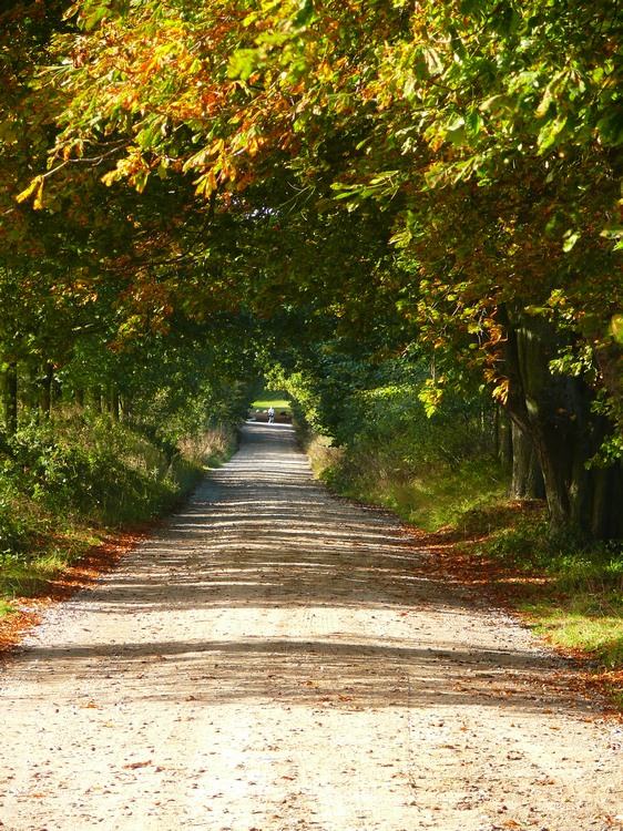 2009_ostsee_284.JPG