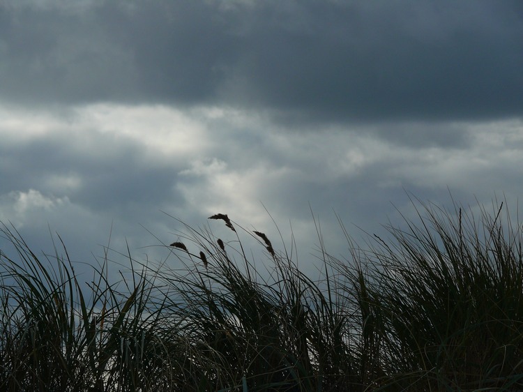 2009_ostsee_364.JPG