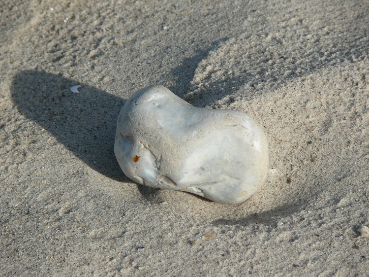 2009_ostsee_367.JPG