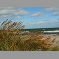 2009_ostsee_232.JPG