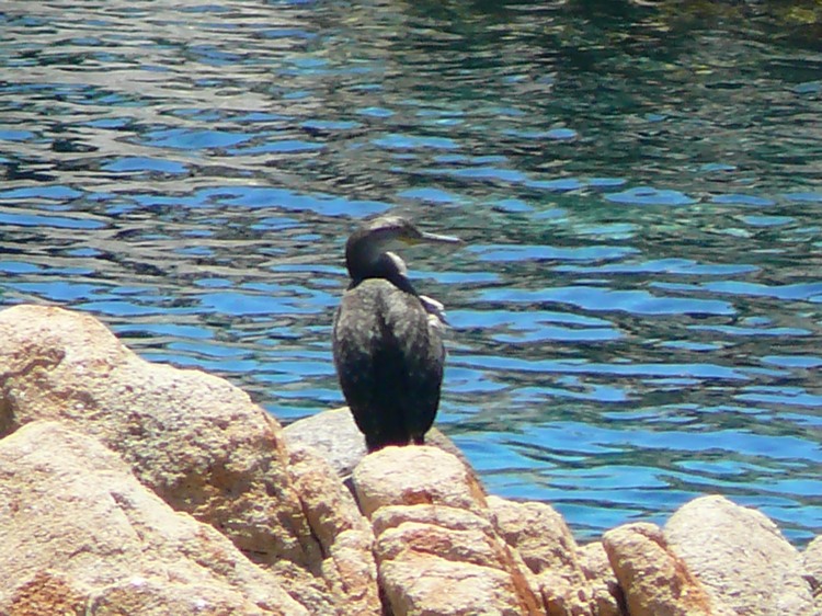 2009_sardinien_010.JPG