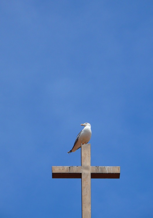 2009_sardinien_060.JPG